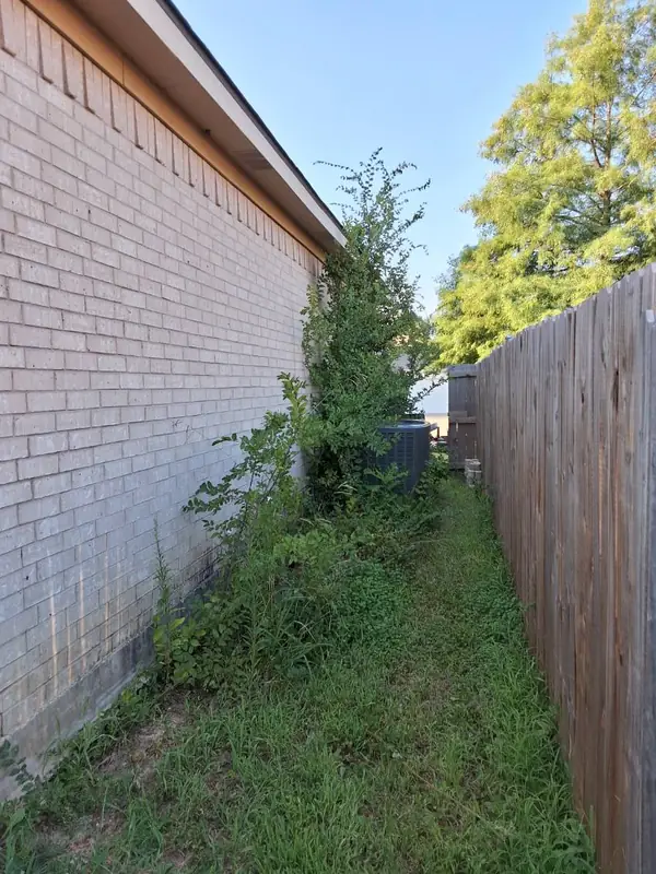 Overgrown side yard full of brush and weeds before cleanup